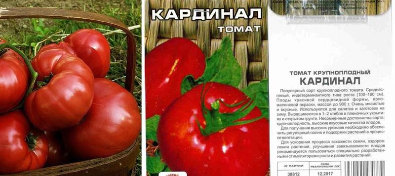 ТОП-55 лучших сортов томатов 2023 (для теплиц и открытого грунта) #9