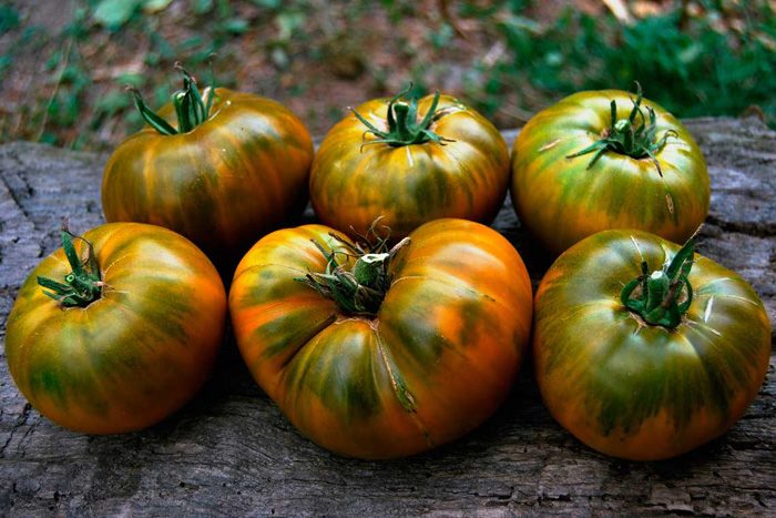 ТОП-55 лучших сортов томатов 2023 (для теплиц и открытого грунта) #61