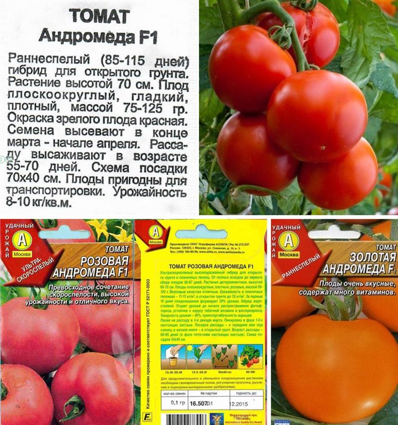 ТОП-55 лучших сортов томатов 2023 (для теплиц и открытого грунта) #13