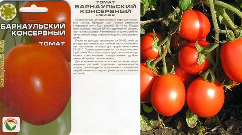 ТОП-55 лучших сортов томатов 2023 (для теплиц и открытого грунта) #43
