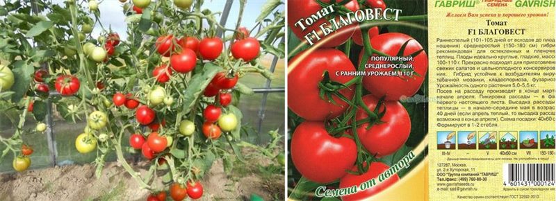 ТОП-55 лучших сортов томатов 2023 (для теплиц и открытого грунта) #2