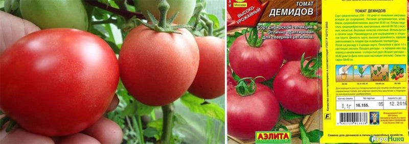 ТОП-55 лучших сортов томатов 2023 (для теплиц и открытого грунта) #36