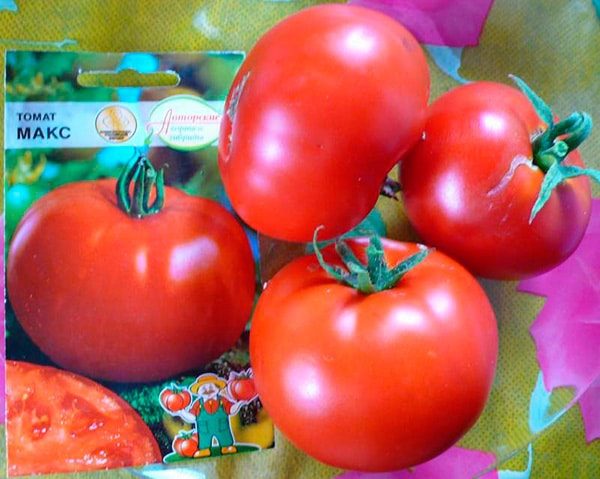 ТОП-25 лучших детерминантных сортов томатов (рейтинг на 2023 год) #26