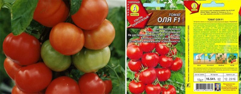 ТОП-55 лучших сортов томатов 2023 (для теплиц и открытого грунта) #38