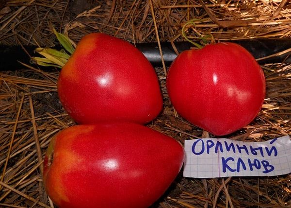 ТОП-25 лучших детерминантных сортов томатов (рейтинг на 2023 год) #8