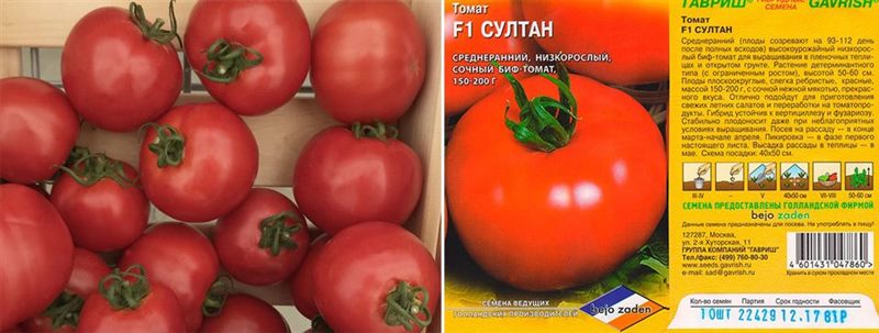 ТОП-55 лучших сортов томатов 2023 (для теплиц и открытого грунта) #28