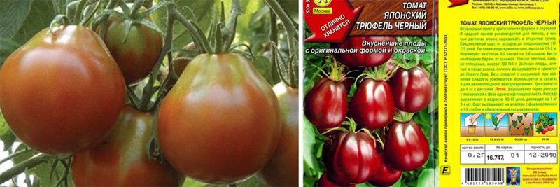 ТОП-55 лучших сортов томатов 2023 (для теплиц и открытого грунта) #41