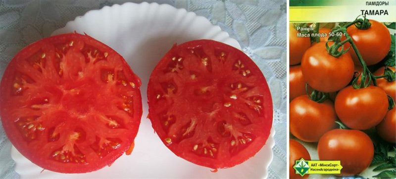 ТОП-55 лучших сортов томатов 2023 (для теплиц и открытого грунта) #29