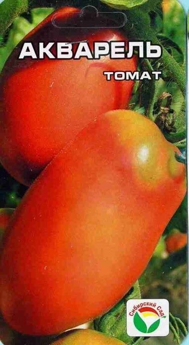 ТОП-55 лучших сортов томатов 2023 (для теплиц и открытого грунта) #11