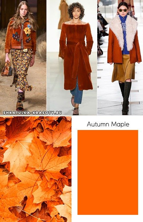 Модные цвета осень-зима 2017-2018 в одежде, фото #10