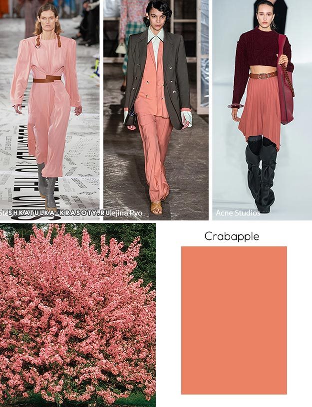 Модные цвета осень-зима 2019-2020 в одежде #19
